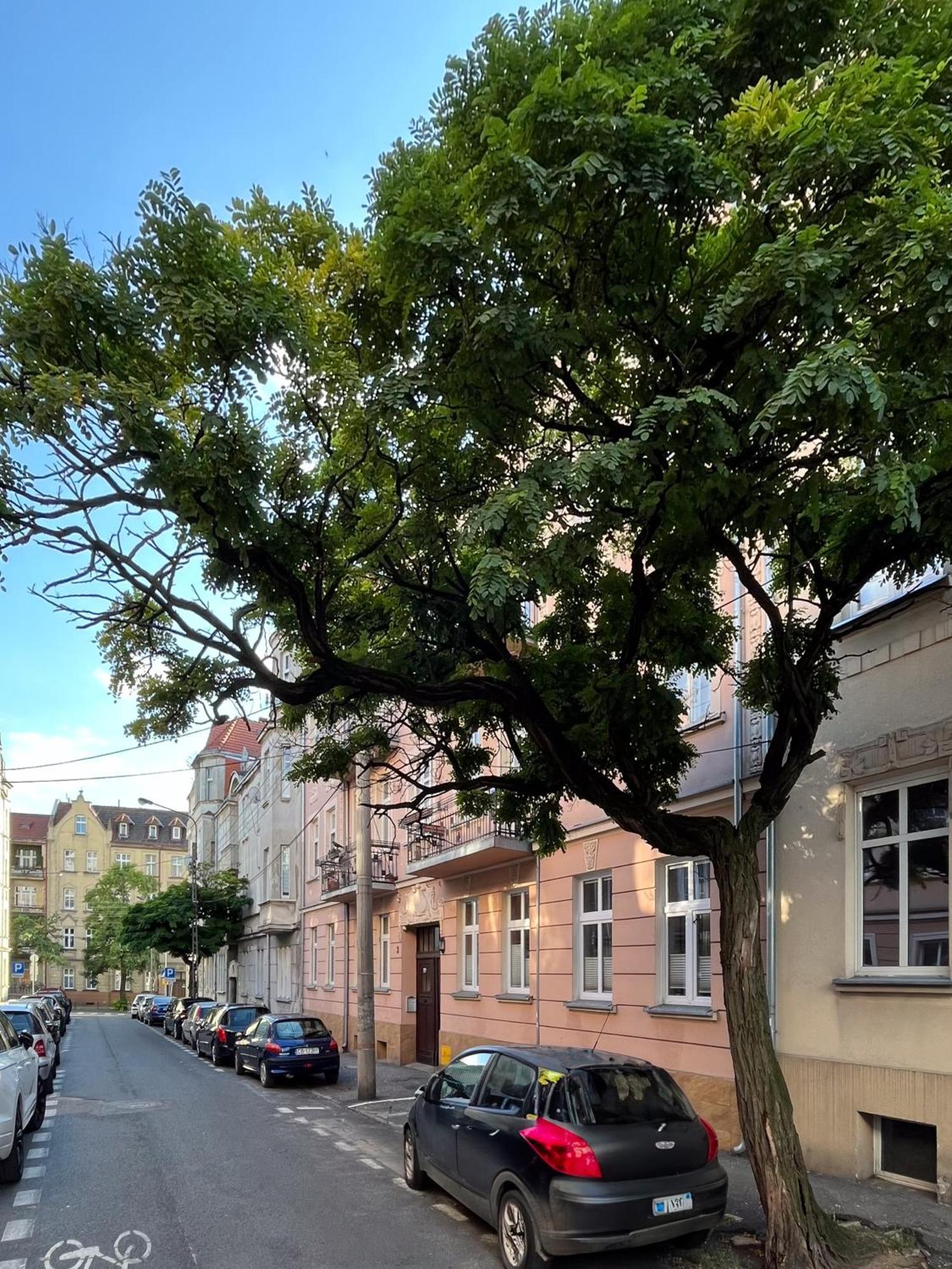 Apartament Dlugosza 3 - Jak W Domu - Idealny Na Dlugie Pobyty I Weekendy Bydgoszcz Exterior photo